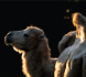 footer-image