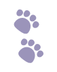 shape-image