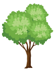 shape-image